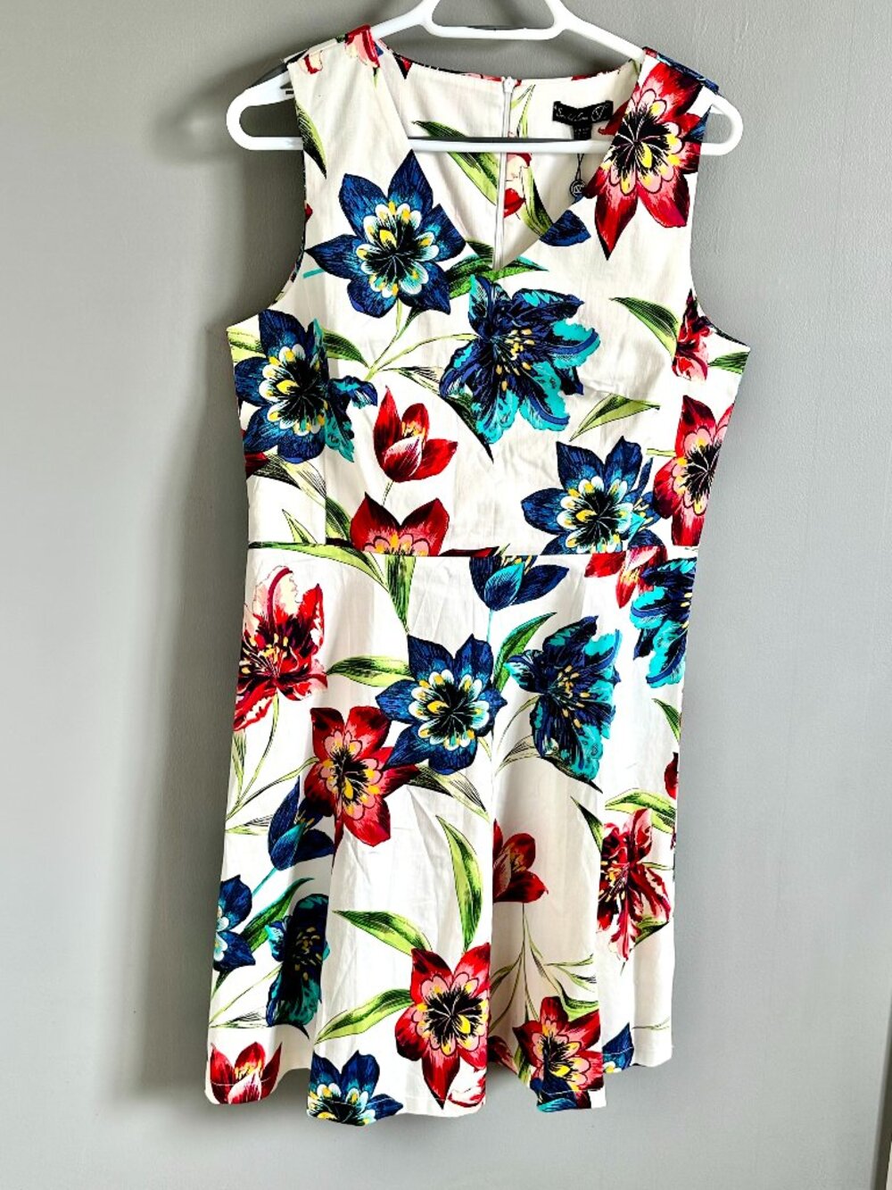 NWT Smashed Lemon Floral V-Neck Fit & Flare Dress White Blue Red Women's Sz 10